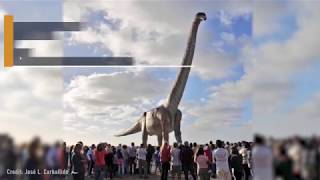 70Ton Titanosaur Becomes Worlds Largest Dinosaur [upl. by Ybba157]