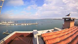 Chioggia Laguna Livestreaming HD [upl. by Elum]