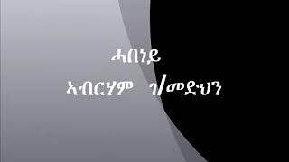 TIGRIGNA abraham Gebremedhin  habeneylyrics [upl. by Baalman335]