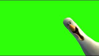 Inhaling Seagull Meme Compilation 2018 [upl. by Kcajyllib87]