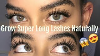 HOW TO GROW YOUR LASHES NATURALLY [upl. by Caia]