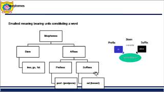 Morphological Analysis in NLP [upl. by Brietta]