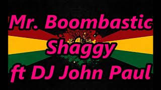 Mr Boombastic REGGAE  Shaggy  DJ John Paul [upl. by Ecinaj650]