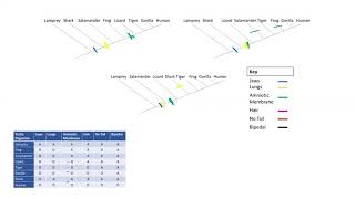 Finding the most parsimonious tree [upl. by Ydor]