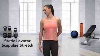 How to do a Static Levator Scapulae Stretch [upl. by Sualakcin]