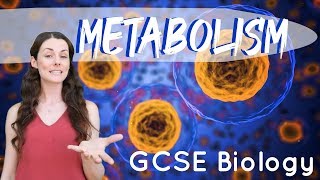 Metabolism  GCSE Biology [upl. by Yasui]