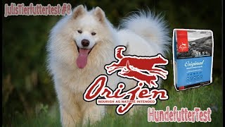 ORIJEN Hundefutter im Test  Trockenfutter für Hunde  JulisTierfuttertest 8  Review [upl. by Rawdin]