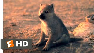 Alpha 2018  Wolf Puppies Scene 1010  Movieclips [upl. by Iralam]