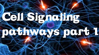 Cell Signaling Pathways part 1 [upl. by Conroy]