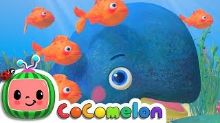 Baby Blue Whale Song  CoComelon Nursery Rhymes amp Kids Songs [upl. by Akeenahs]