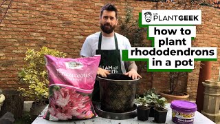 How to plant Rhododendrons  Mr Plant Geek [upl. by Pandolfi]