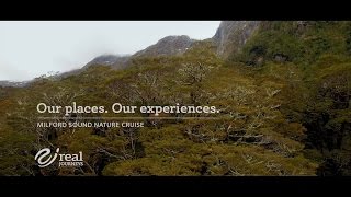 Milford Sound Nature Cruise with Real Journeys [upl. by Adnale]