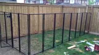 Backyard Renovation Building the Dog Fence part 2 [upl. by Nanek537]