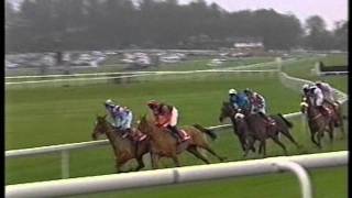 2002 Mitsubishi Shogun Tingle Creek Trophy Chase [upl. by Lenrow]