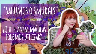 Crea Tus Propios Sahumerios Mágicos Rituales y Hierbas Poderosas para Purificar Tu Hogar ✨🔥 [upl. by Jeroma]