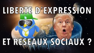 LIBERTE DEXPRESSION 🗣️ ET RESEAUX SOCIAUX 🐦 [upl. by Elsbeth]