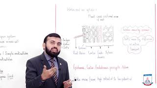 Class 9  Biology  Chapter 9  Lecture 1 Introduction of Transport  Allied Schools [upl. by Illoh]