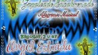 Zapateado EncabronadoAlacranes Musical [upl. by Henarat100]