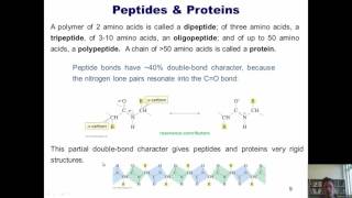 Chapter 23 – Protein Chemistry Part 7 of 10 [upl. by Rosenzweig]