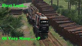 FS19  Forestry On Holmåkra  First Load  Timelapse  S02 EP22 [upl. by Annibo]