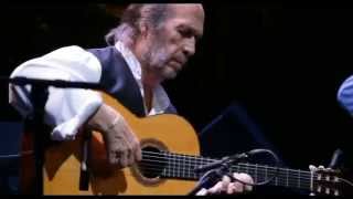 Paco De Lucia  Entre dos aguas [upl. by Jola]