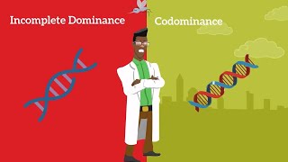 Genetics Basics Difference between Codominance and Incomplete Dominance [upl. by Ber]