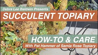 Succulent Topiary Design Ideas DIY amp Care Essentials [upl. by Drona]