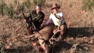 Grandes ibéricos de Almadenejos Montería Valle de la Zarza con Sierra España HD [upl. by Frans]