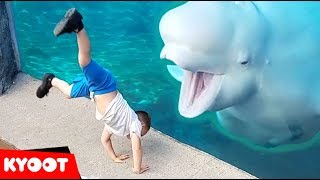 Beluga Whale is AMAZED by Tricks  Funny Aquarium Videos [upl. by Rajewski]