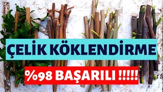 ÇELİK KÖKLENDİRME NASIL YAPILIR � BAŞARILI [upl. by Nameloc560]