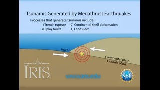 Tsunamis Generated by Megathrust Earthquakes [upl. by Dorella902]