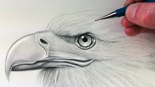 How to Draw an Eagle Head [upl. by Shanta]