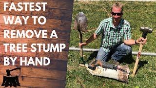 How To Remove A Tree Stump By Hand In 20 Minutes Or Less [upl. by Eico]