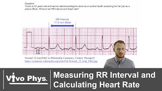 Measuring RR Interval and Calculating Heart Rate [upl. by Block]