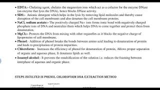 Phenol chloroform DNA extraction method [upl. by Ahsiea]