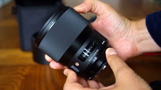 Sigma 135mm f18 DG HSM Art lens review with samples Fullframe amp APSC [upl. by Assirol220]