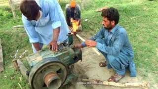 Diesel Engine Start up Tube Well agricultural system in Rural area [upl. by Ahsiuqel]