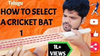 ALL DETAILS ON CRICKET BAT SELECTION   Part 1  తెలుగు  Ravi Krishna Cricket [upl. by Eelsnia]