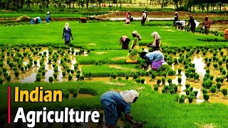 AGRICULTURE IN INDIA  Documentary [upl. by Tav452]