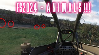 Finding ANIMALS in MSFS2024 [upl. by Irahcaz664]