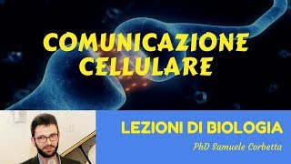 Comunicazione cellulare  Lezioni di Biologia [upl. by Lindo943]