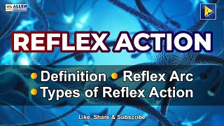 What is Reflex Action [upl. by Gaeta]