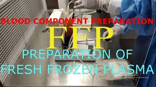 Fresh frozen plasmaFFPBlood component preparation [upl. by Anale]