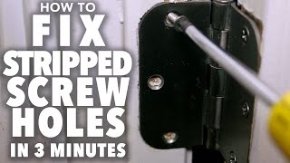 Fix Stripped Screw Holes  3 MINUTE FIX [upl. by Aguayo]