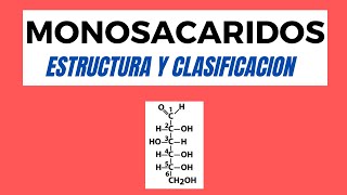 Monosacáridos Estructura y Propiedades [upl. by Hamforrd]