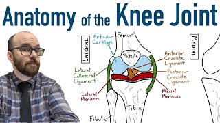 McConnell Taping for the Knee [upl. by Lika]