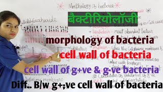 Morphology of Bacteria in hindi  Bacterial Structure  Bacteriology  By Manisha Maam [upl. by Faunia]