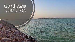 ABU ALI ISLAND Al Jubail  جزيرة أبو علي الجبیل [upl. by Leighland]