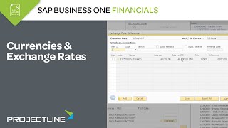 SAP Business One Currencies amp Exchange Rates [upl. by Opiuuk]