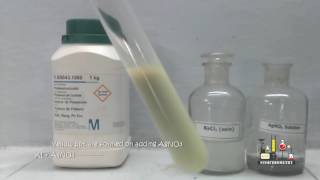 Potassium Iodide and Silver Nitrate [upl. by Enilesor]